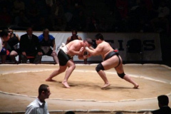 Sumo WM 2004