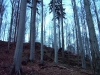 DSCF7036