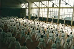 Großer Lehrgang mit Keinosuke Enoeda Shihan