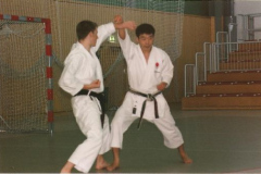 Special Karate Summer Course 1996