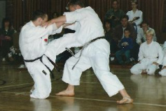Landesmeisterschaften 1996