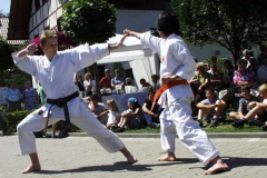 Vorführung in Bad Liebenwerda 2000