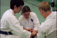 Ju Jutsu 2007
