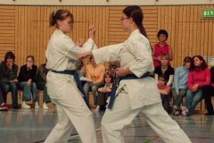 Vorführung in Elsterwerda 2007