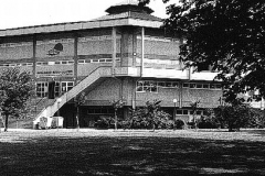 Tanaka 1995